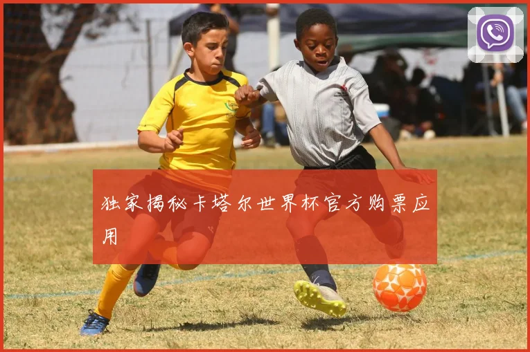 独家揭秘卡塔尔世界杯官方购票应用