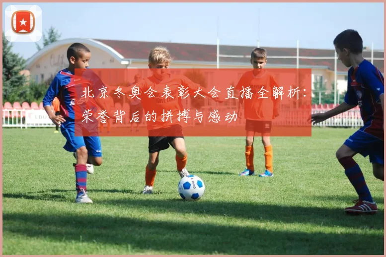 北京冬奥会表彰大会直播全解析：荣誉背后的拼搏与感动