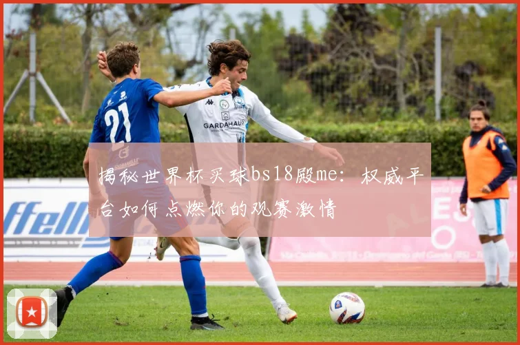 揭秘世界杯买球bs18殿me：权威平台如何点燃你的观赛激情