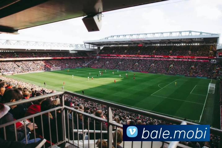 开云手机入口注册平台生态图